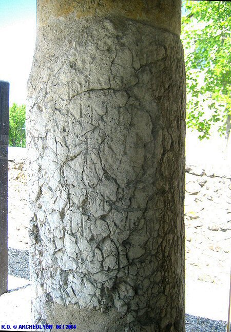 01pre1033229.JPG