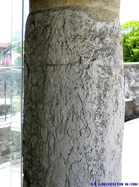 01pre1043215.JPG