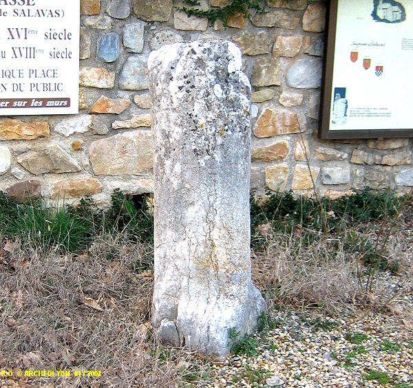 07sal2022412.JPG